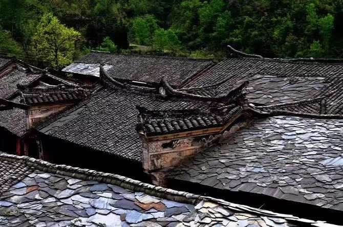 紫阳富硒茶翠锋(紫阳翠峰茶)-硒宝网