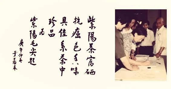 紫阳富硒茶翠锋(紫阳茶翠峰是红茶还是绿茶)-硒宝网