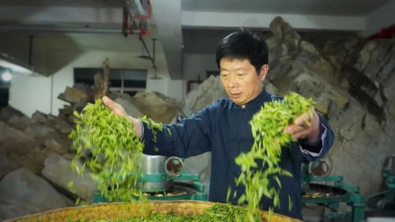 紫阳富硒茶翠锋(紫阳茶翠峰是红茶还是绿茶)-硒宝网