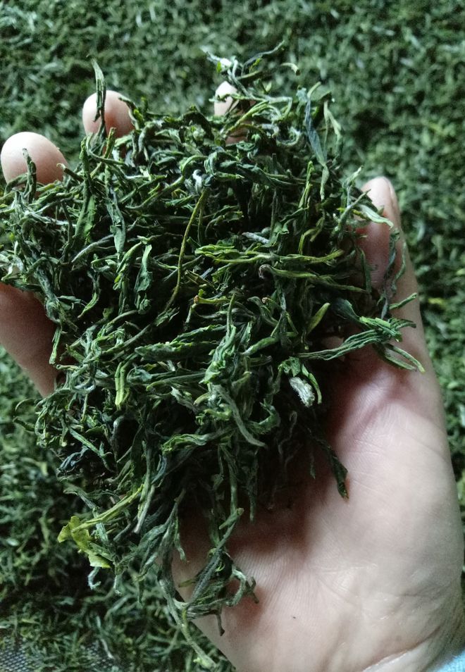 云坑富硒野生茶(富硒野茶的功效)-硒宝网