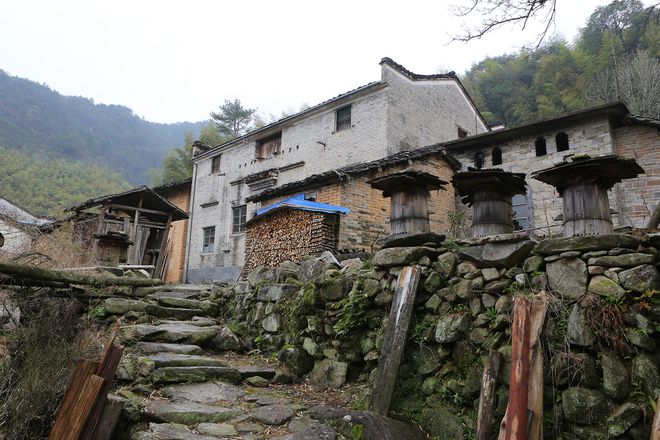 云坑富硒野生茶(富硒野茶的功效)-硒宝网