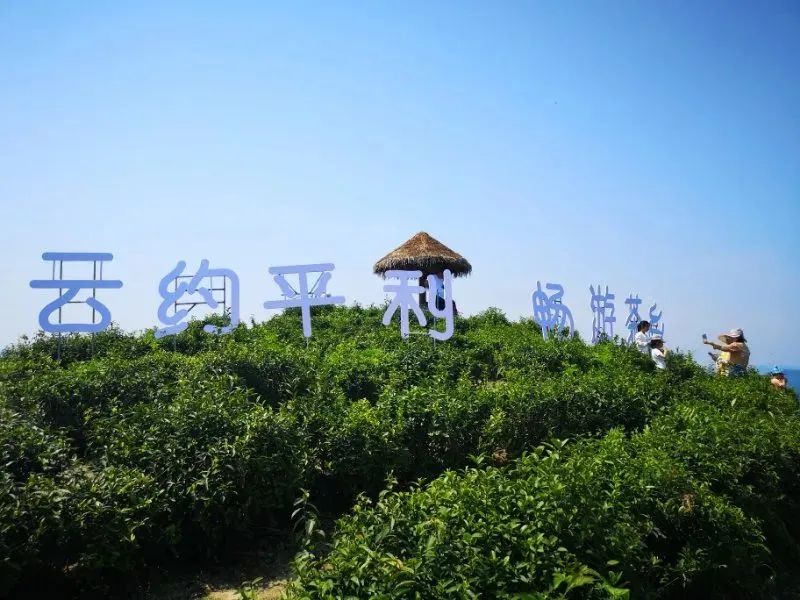 品悟非凡富硒茶（悟凡茶轩）-硒宝网