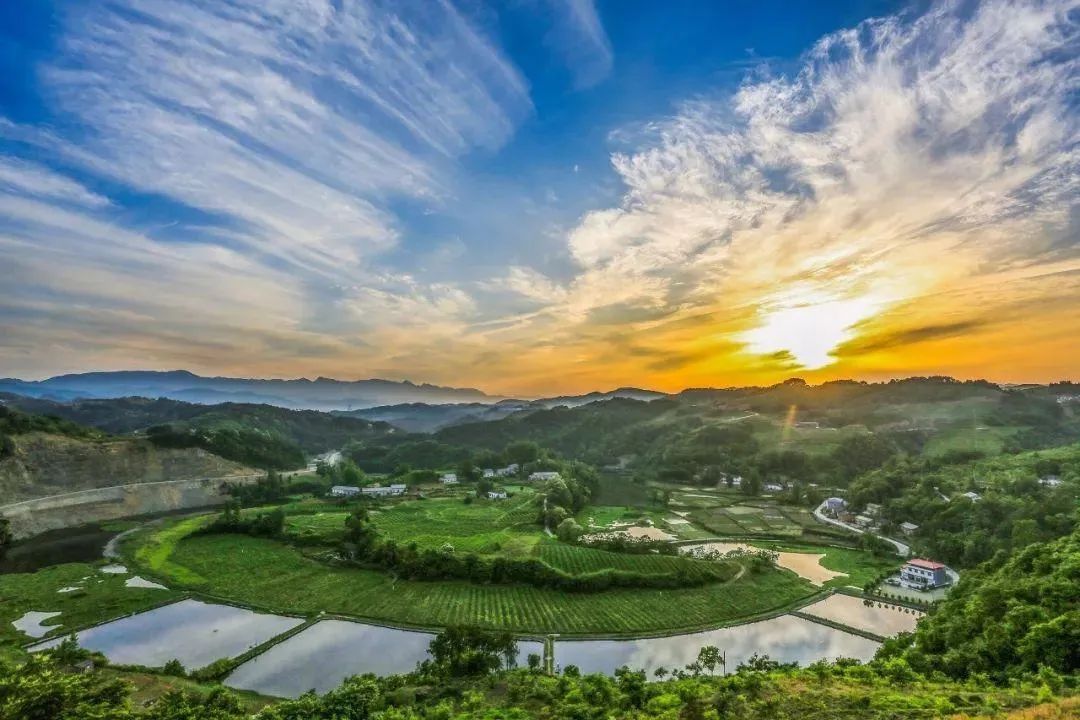 品悟非凡富硒茶（悟凡茶轩）-硒宝网