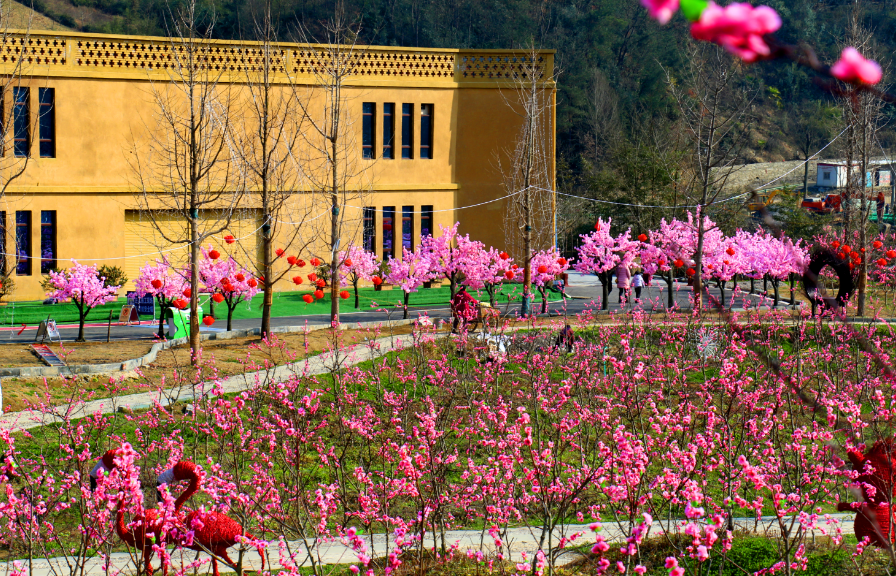 品悟非凡富硒茶（悟凡茶轩）-硒宝网