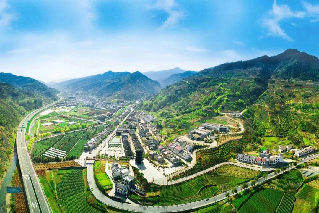 品悟非凡富硒茶（悟凡茶轩）-硒宝网