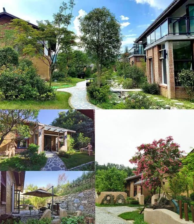 品悟非凡富硒茶（悟凡茶轩）-硒宝网