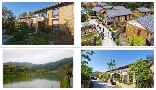 品悟非凡富硒茶（悟凡茶轩）-硒宝网