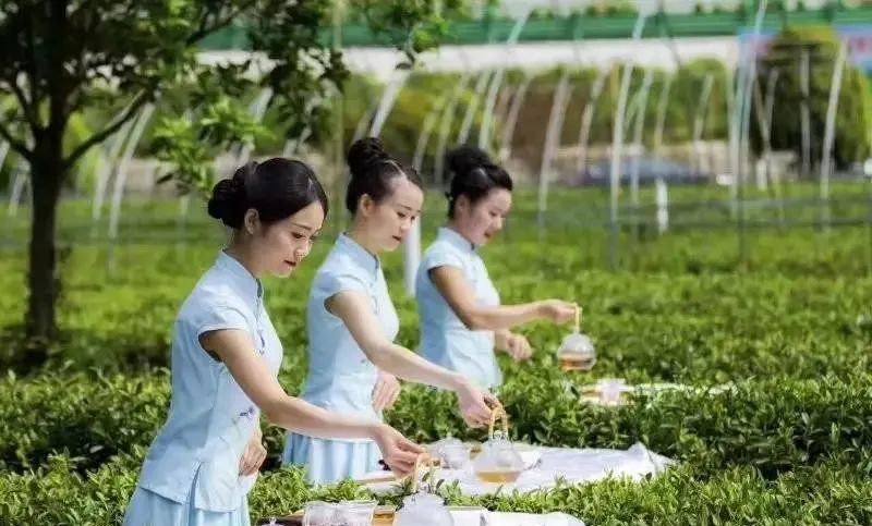 品悟非凡富硒茶（悟凡茶轩）-硒宝网