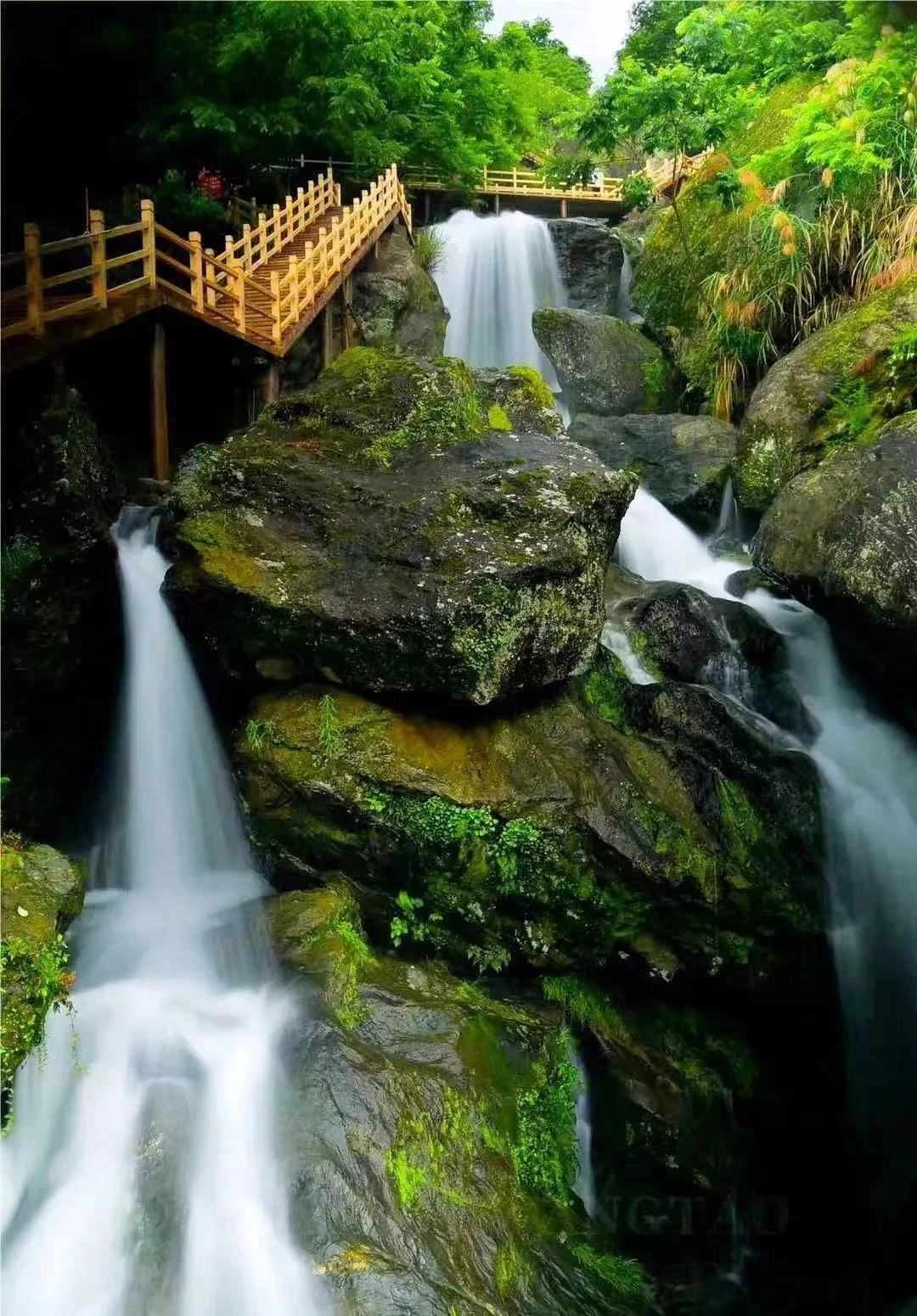 品悟非凡富硒茶（悟凡茶轩）-硒宝网