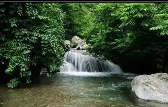 品悟非凡富硒茶（悟凡茶轩）-硒宝网