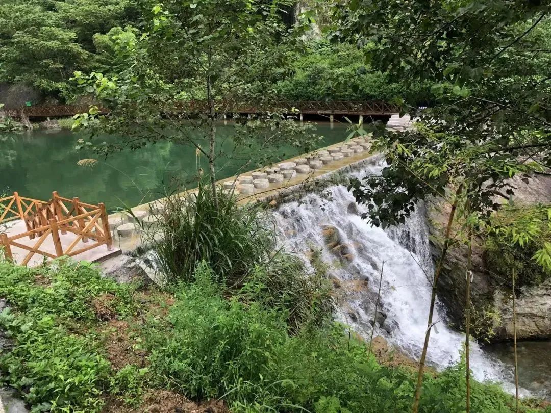 品悟非凡富硒茶（悟凡茶轩）-硒宝网