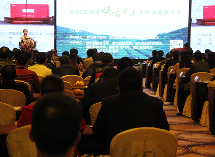 紫阳富硒茶焕古(紫阳富硒茶故事)-硒宝网