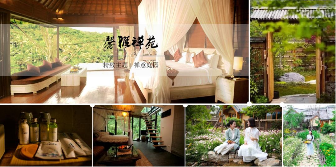 品悟非凡富硒茶（非凡茶叶的价格）-硒宝网