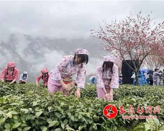 富硒茶有品牌吗(茶富硒品牌有哪些)-硒宝网