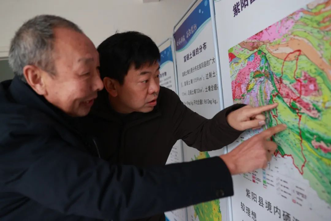 中国海峡富硒茶(福建海峡茶业交流协会会长)-硒宝网