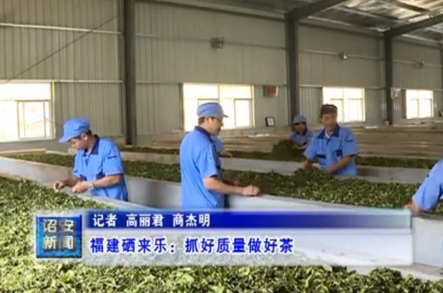 福建有富硒茶吗（富硒茶叶）-硒宝网