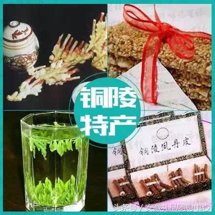 霄坑富硒茶口感(霄坑富硒茶多少钱一斤)-硒宝网