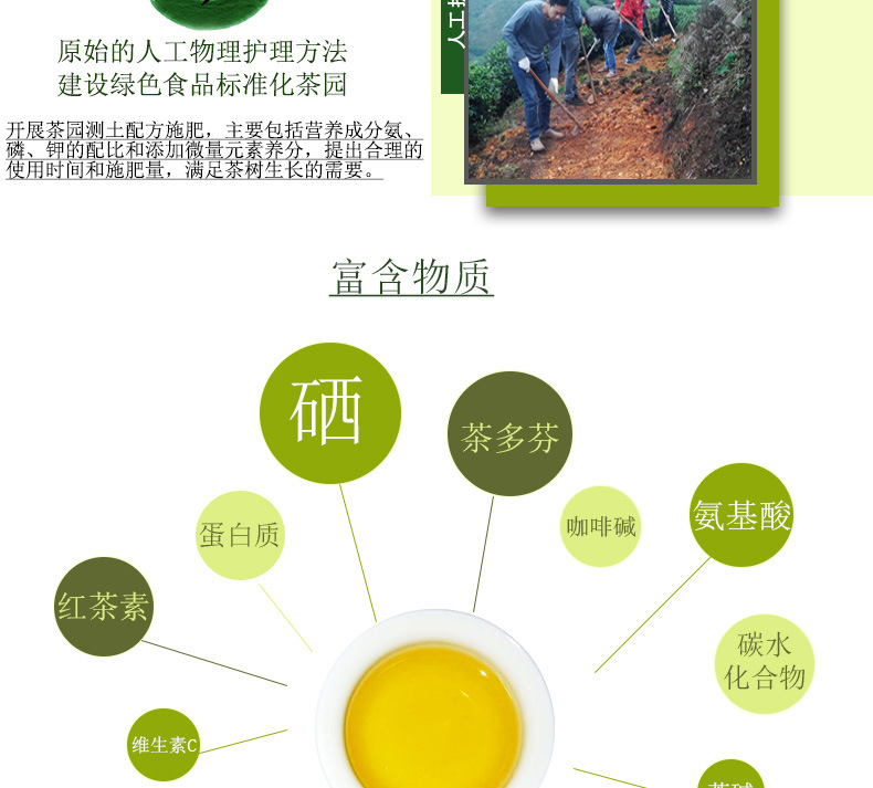 富硒茶竞品分析(茶叶富硒标准)-硒宝网