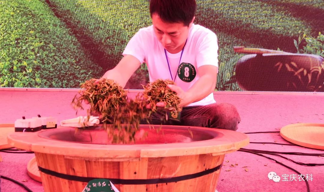 富硒茶三创大赛(富硒茶文化)-硒宝网