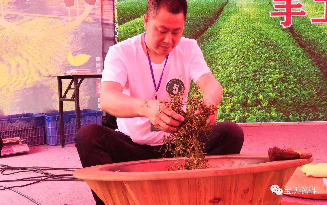 富硒茶三创大赛(富硒茶文化)-硒宝网