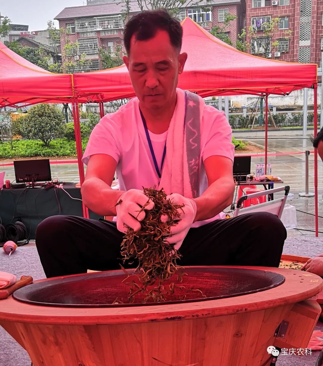 富硒茶三创大赛(富硒茶文化)-硒宝网