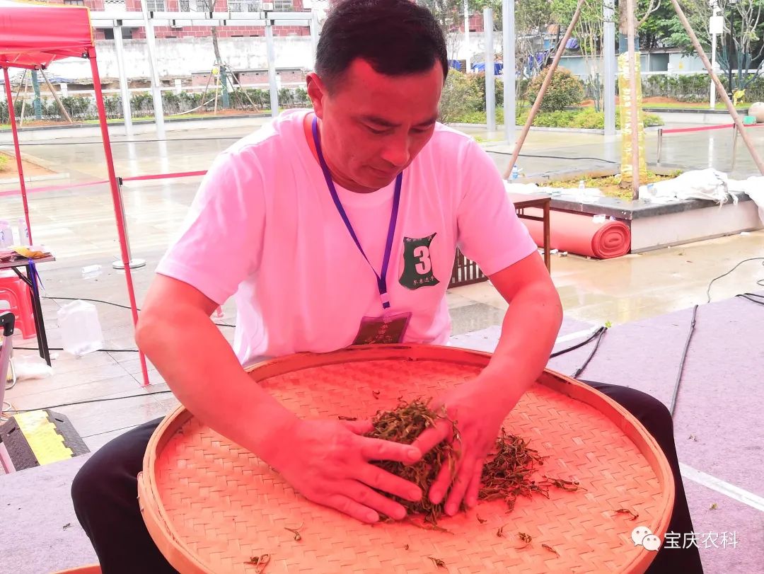 富硒茶三创大赛(富硒茶文化)-硒宝网