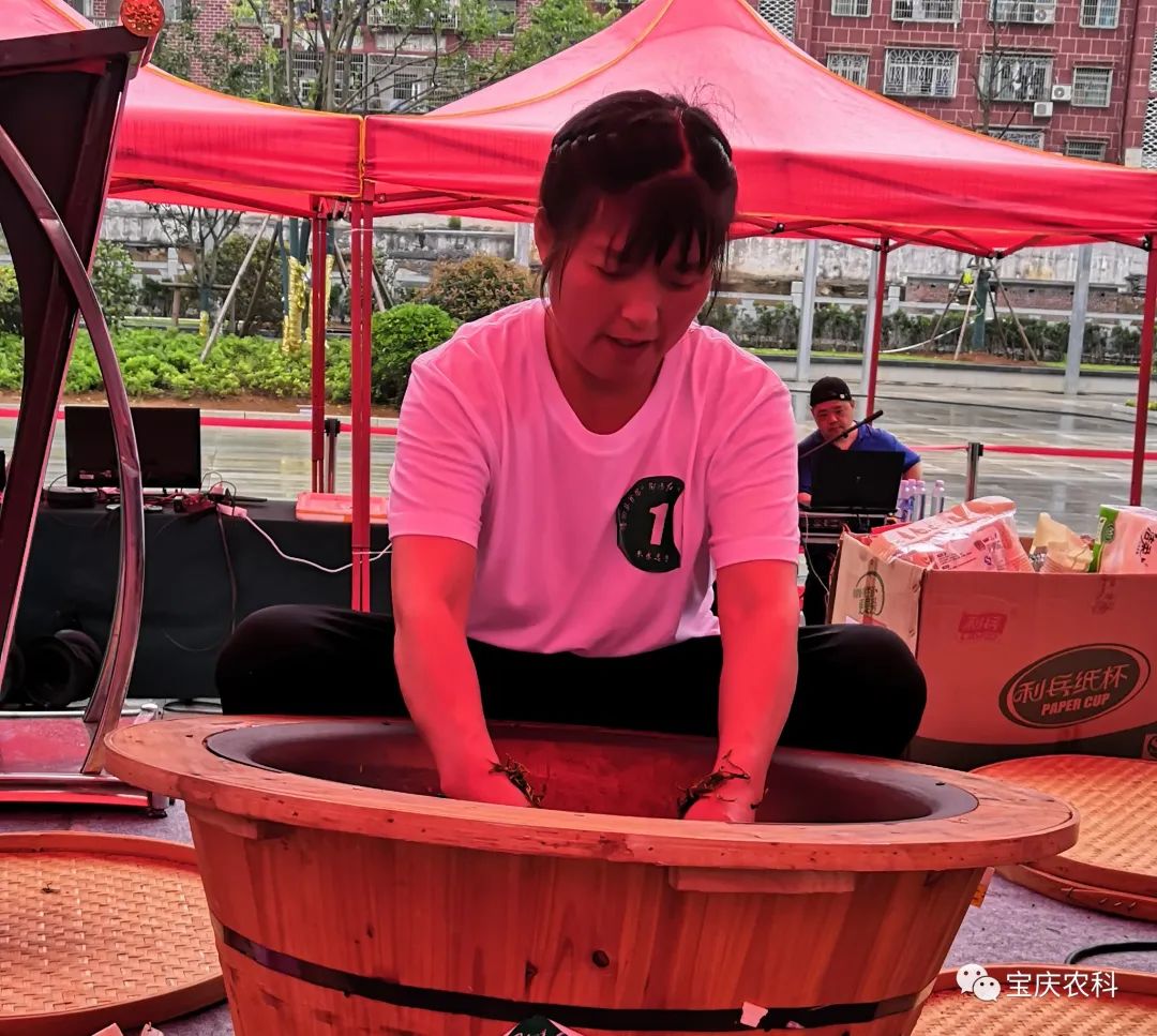 富硒茶三创大赛(富硒茶文化)-硒宝网