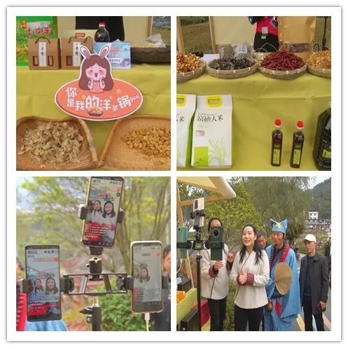 富硒茶交易中心(富硒茶产业)-硒宝网