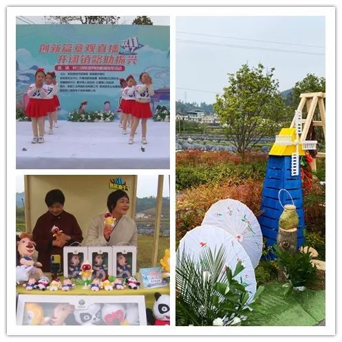 富硒茶交易中心(富硒茶产业)-硒宝网