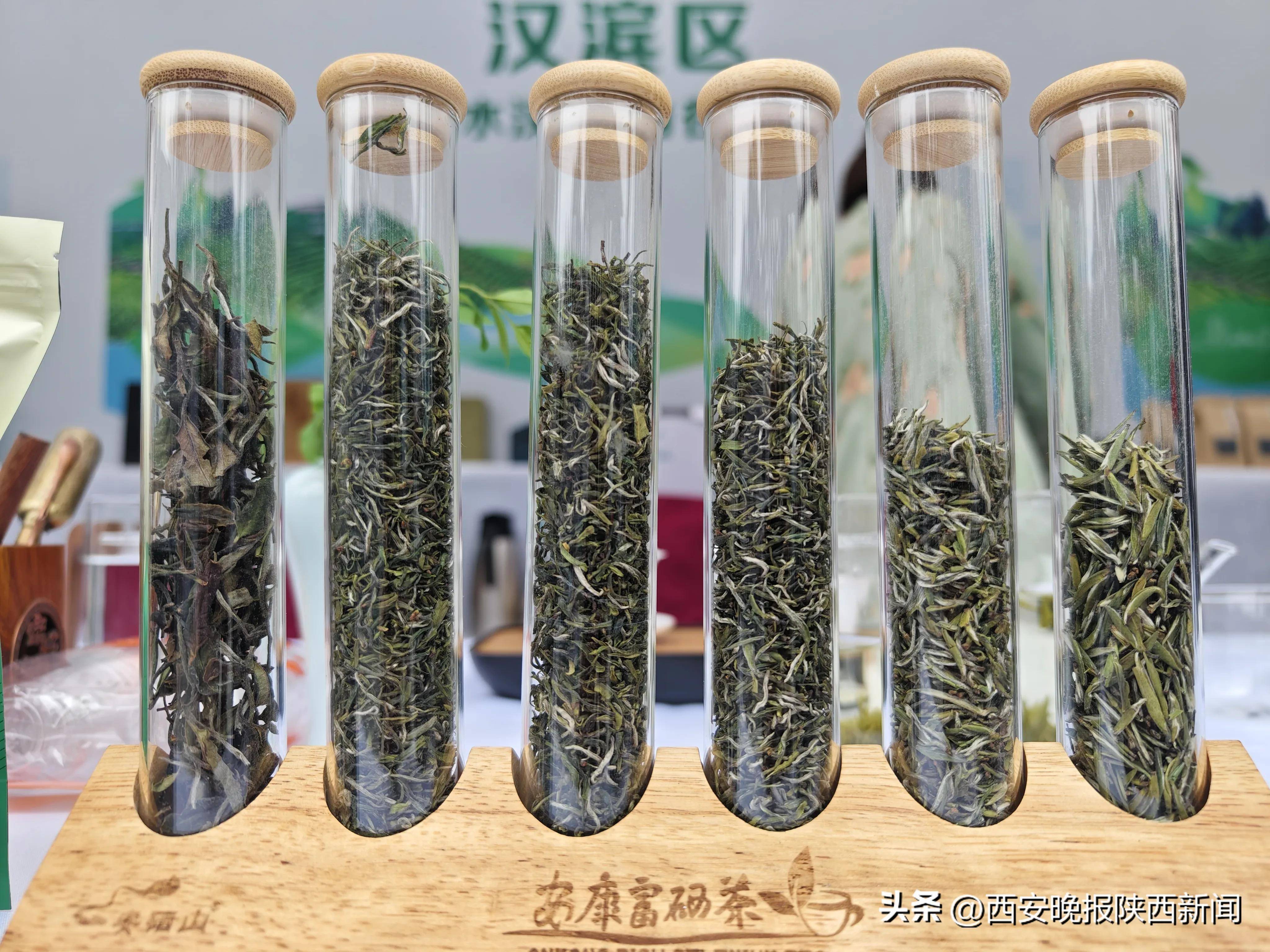 陳默安康富硒茶(安康富硒茶多少钱一斤汗水晨雾)-硒宝网