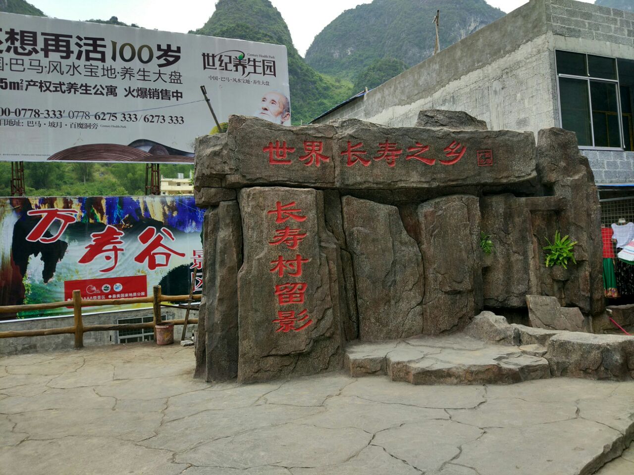 巴马富硒养生茶（巴马富硒十抗菌双功效养生杯）-硒宝网