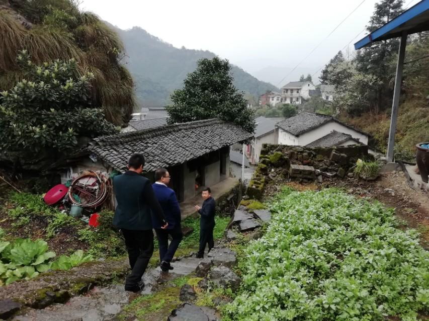 安徽仙寓富硒茶(安徽富硒茶产地)-硒宝网