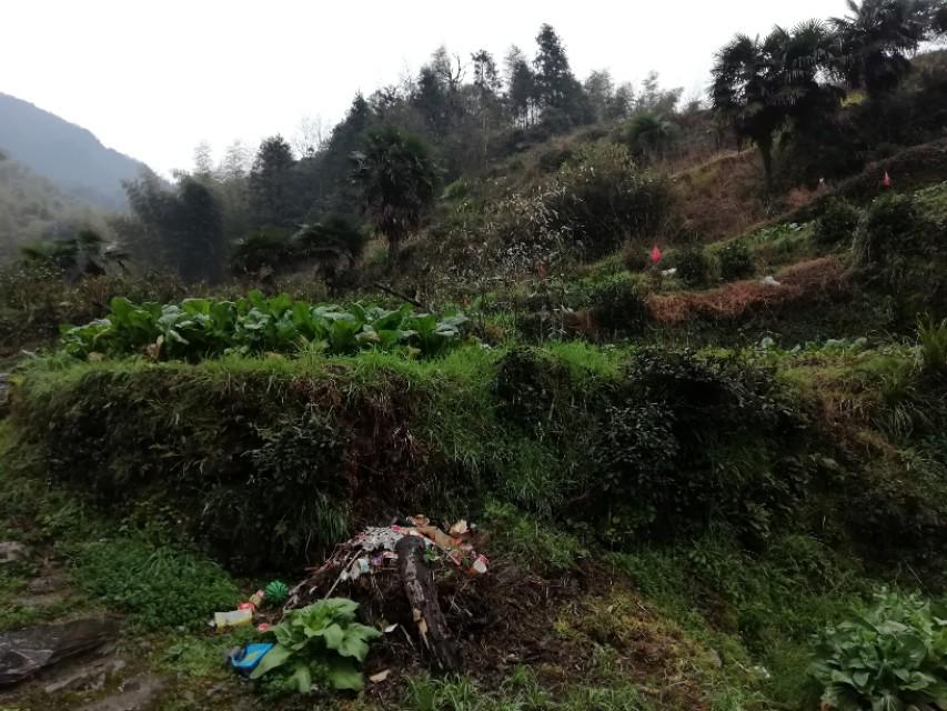 安徽仙寓富硒茶(安徽富硒茶产地)-硒宝网