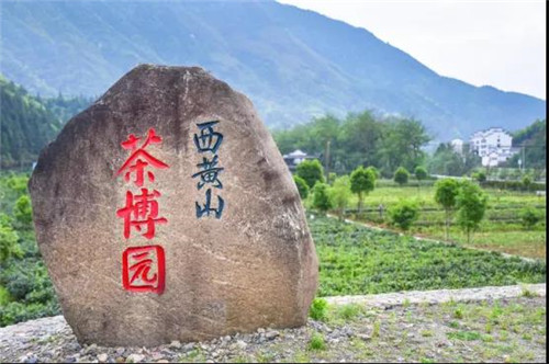 恩施博仁富硒茶（恩施富硒茶宣传视频）-硒宝网