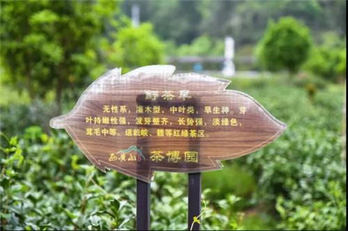 恩施博仁富硒茶（恩施富硒茶宣传视频）-硒宝网