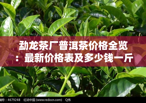 五队富硒野生茶（富硒野茶多少钱一斤）-硒宝网