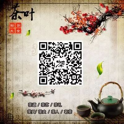 恩施极叶富硒茶(恩施富硒茶叶多少钱一斤)-硒宝网