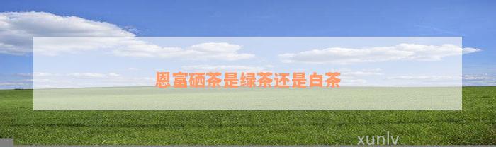 有香味的富硒茶(富硒茶味道)-硒宝网