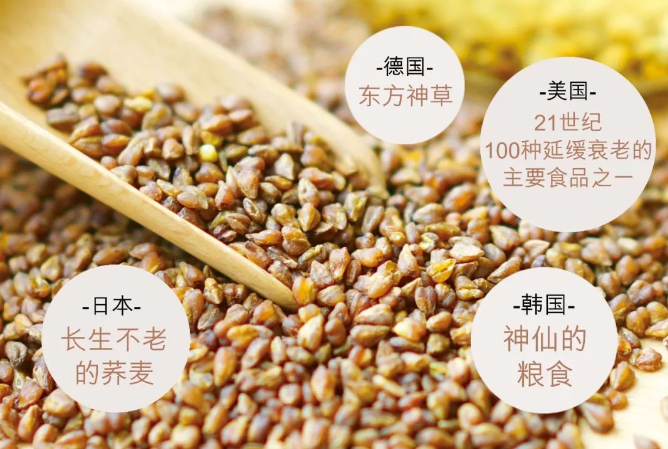 苦荞茶富硒食物(茶食物苦荞富硒的作用)-硒宝网