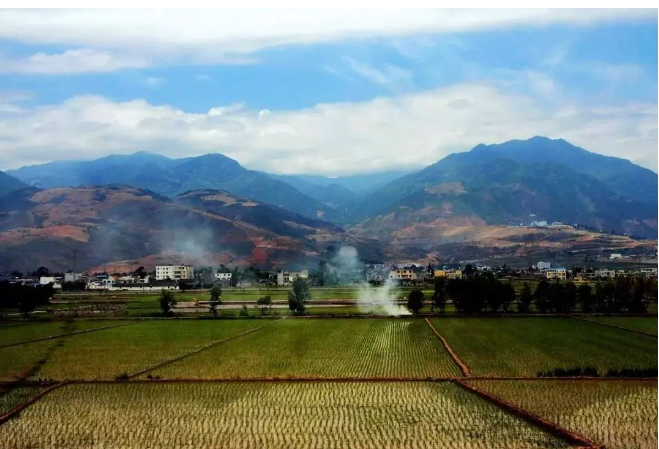 苦荞茶富硒食物(茶食物苦荞富硒的作用)-硒宝网