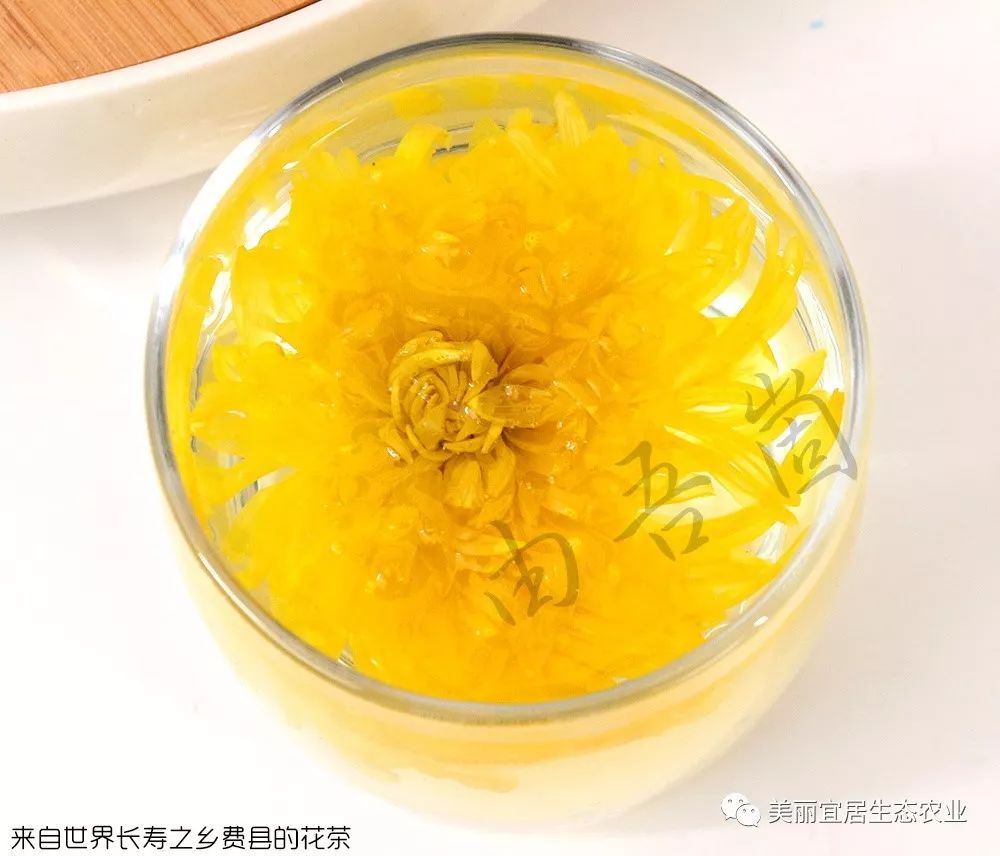 富硒金丝皇菊茶(金丝菊泡茶的功效)-硒宝网