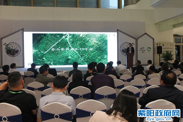 紫阳富硒焕古茶(紫阳富硒茶焕古茶价格)-硒宝网