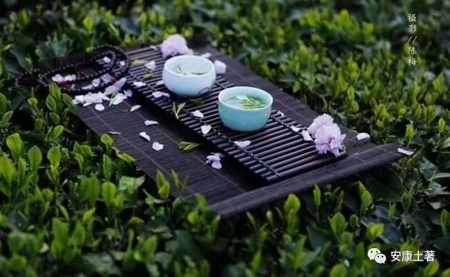 富硒茶蒿坪毛尖（富硒茶和毛尖的区别）-硒宝网