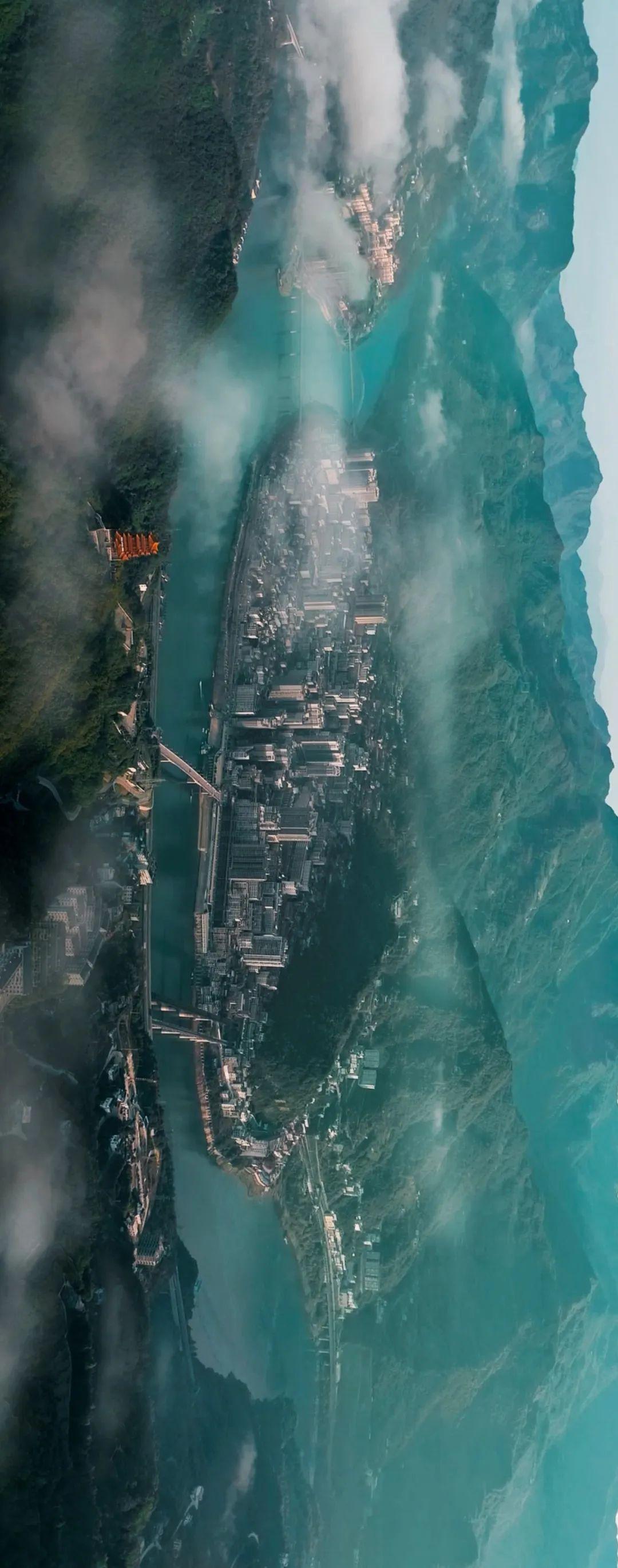 富硒茶蒿坪毛尖（富硒茶和毛尖的区别）-硒宝网