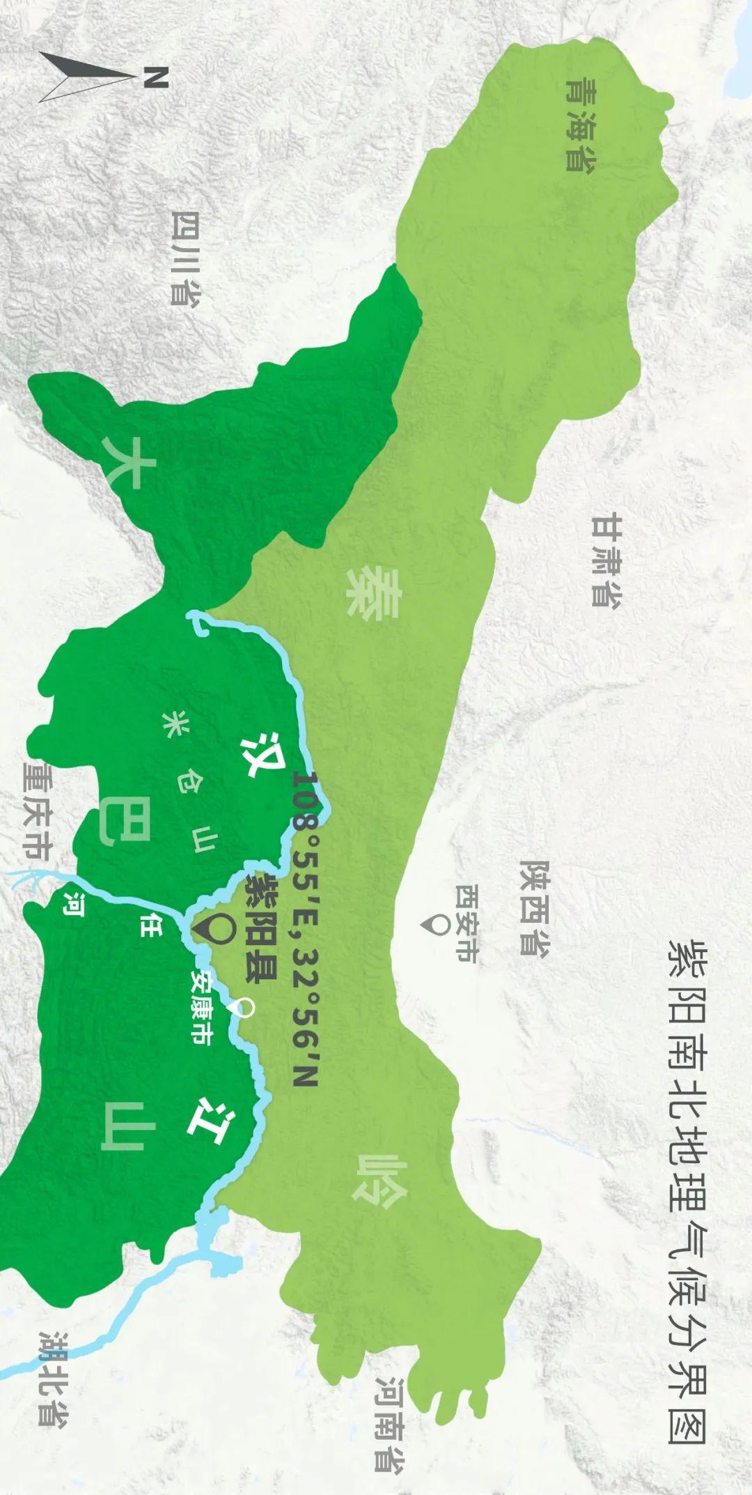 富硒茶蒿坪毛尖（富硒茶和毛尖的区别）-硒宝网