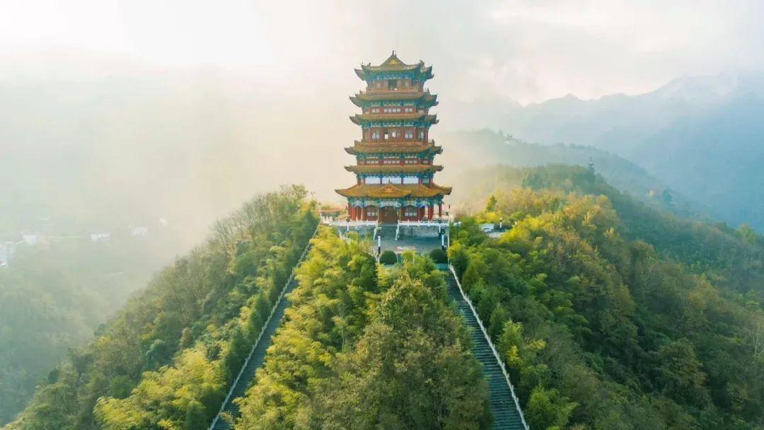 富硒茶蒿坪毛尖（富硒茶和毛尖的区别）-硒宝网