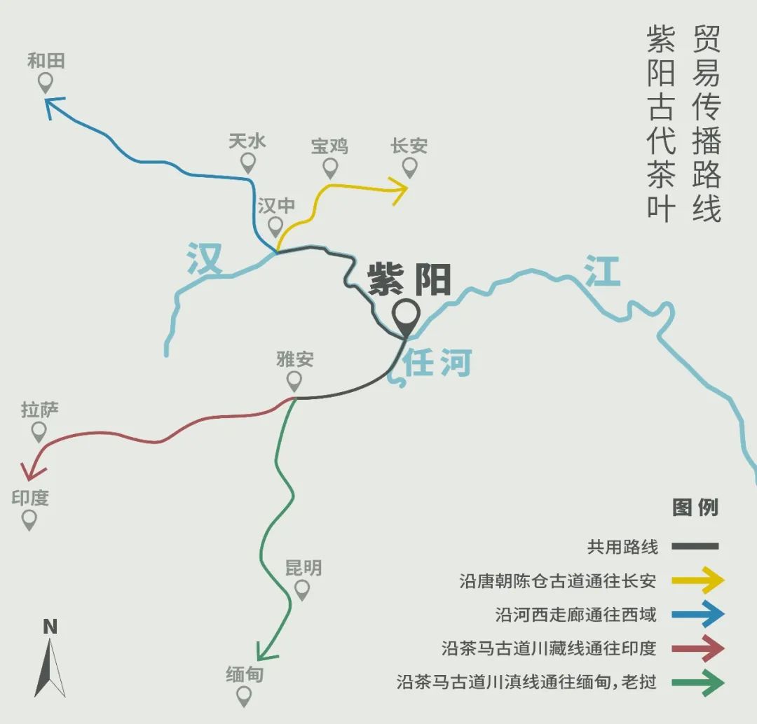 富硒茶蒿坪毛尖（富硒茶和毛尖的区别）-硒宝网