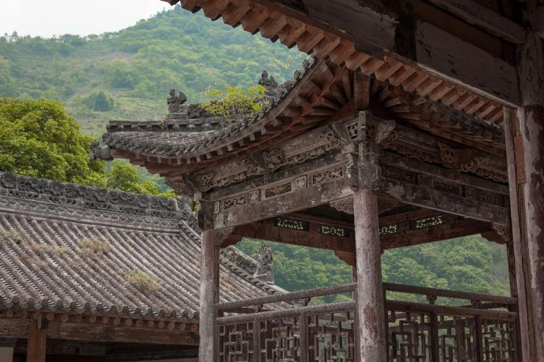 富硒茶蒿坪毛尖（富硒茶和毛尖的区别）-硒宝网