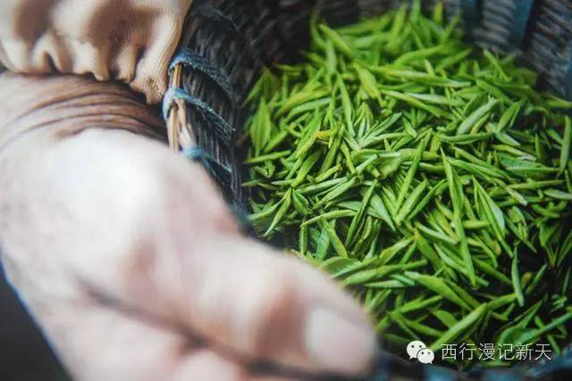 陕西焕古富硒茶（陕西富硒茶叶）-硒宝网