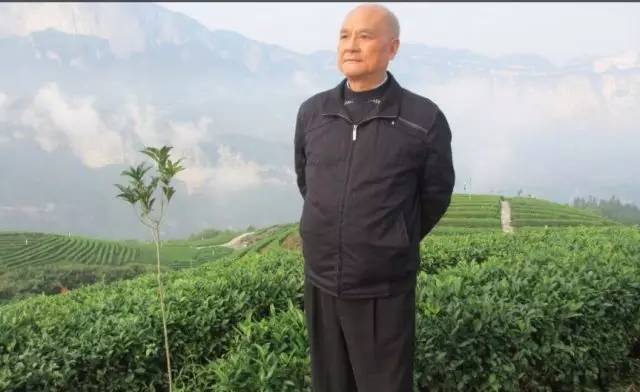 恩施极叶富硒茶(恩施富硒茶)-硒宝网